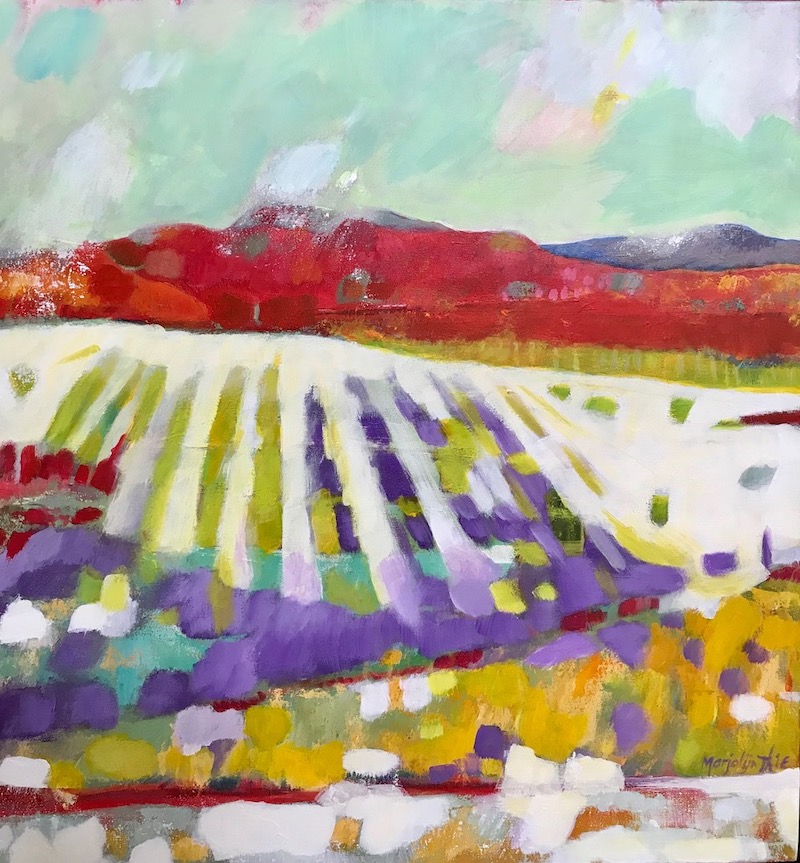 northern vineyards